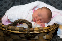 sawyer order