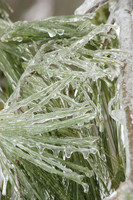 Christmas Eve Ice Storm 2009